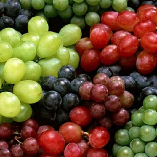 
                                    دراسة جديدة تكشف الفوائد السحرية للعنب… فاكهة صغيرة بتأثيرات صحية مذهلة  