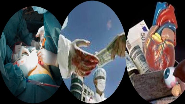 
                                    تجارة الأعضاء البشرية: جريمة بلا ضمير… دوافعها خطرة وأحكامها صارمة    