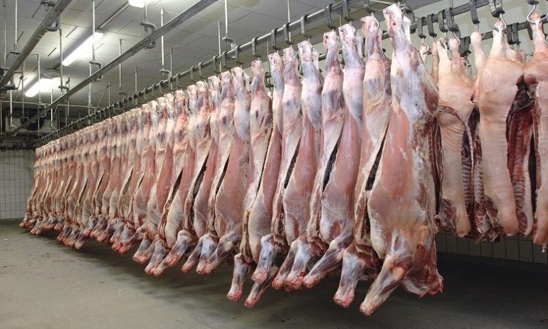 
                                    240 درهماً لذبح الحولي.. الدار البيضاء تُطلق أكبر عملية منظمة لعيد الأضحى وسط تشديد صحي ورقابة صارمة 