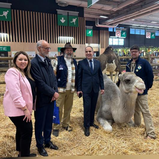  المغرب يتألق في صالون الزراعة الدولي بباريس: من منتجات الأرض إلى آفاق واعدة في قطاع الإبل   