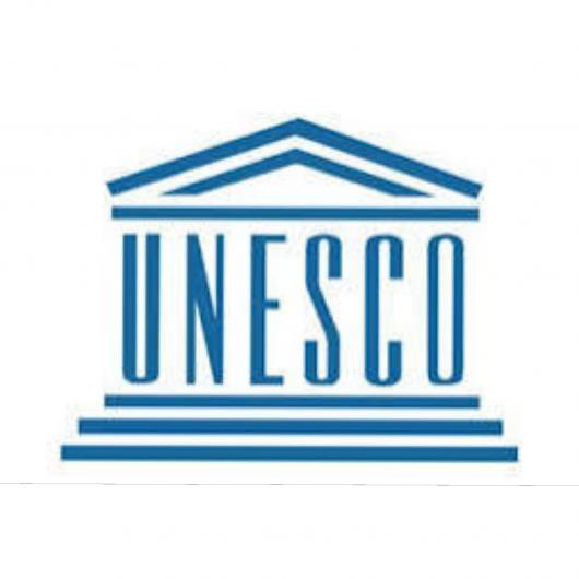  اليونسكو تشيد بالمغرب كنموذج رائد في تقليص عدد الأطفال غير المتمدرسين   