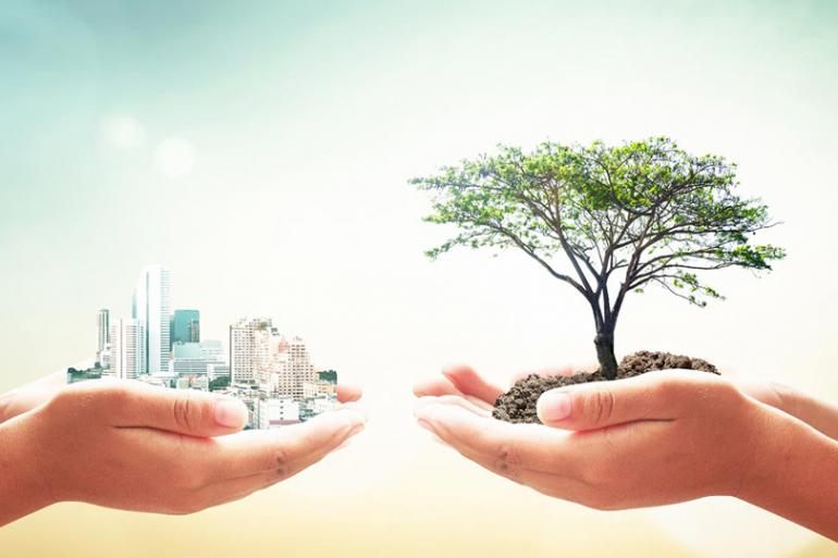 التنمية والتنمية المحلية: أساس بناء المجتمعات وتقدم الأوطان  