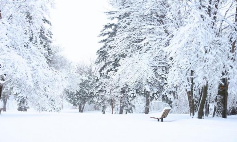 تساقطات ثلجية وطقس بارد وأمطار قوية من الثلاثاء إلى الخميس بعدد من مناطق المملكة (نشرة إنذارية)     