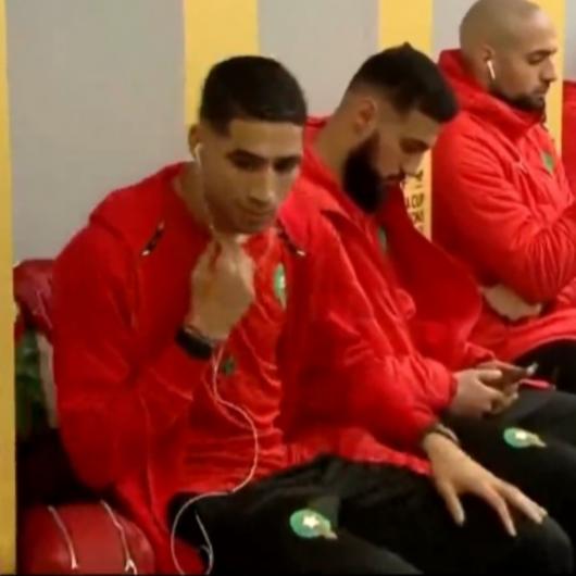 صور أسود الأطلس في فالفيستيير