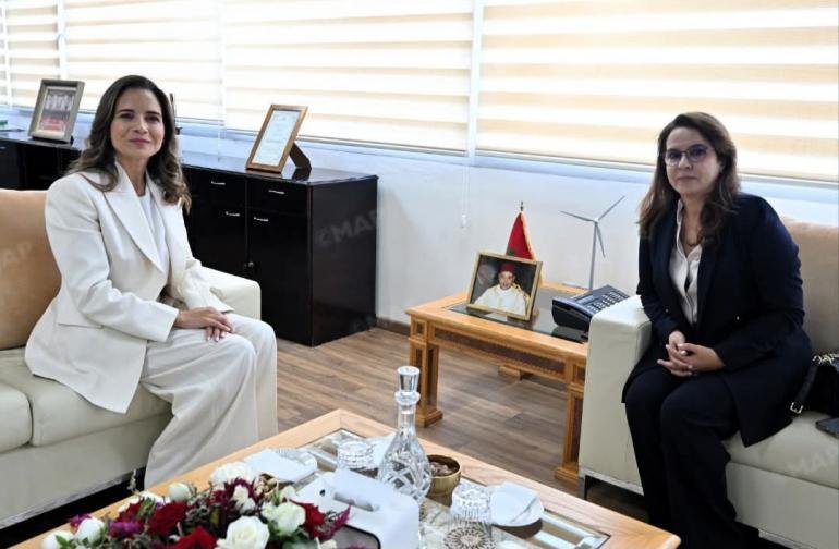  وزارة الطاقة والمعادن والتنمية المستدامة.. شرفات أفيلال تتسلم مهامها من ليلى بنعلي وتؤكد مواصلة الأوراش الاستراتيجية  